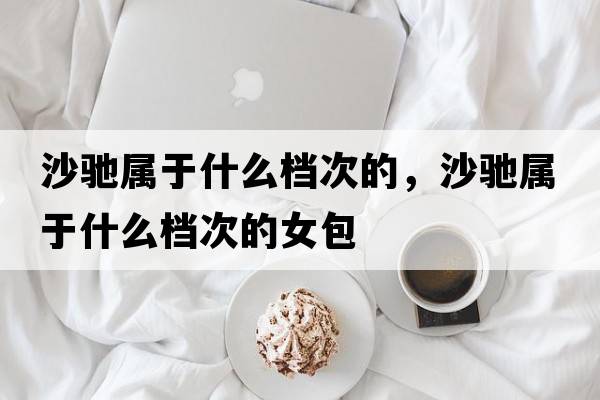 沙馳屬于什么檔次的，沙馳屬于什么檔次的女包