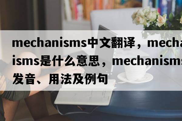 mechanisms中文翻譯，mechanisms是什么意思，mechanisms發(fā)音、用法及例句