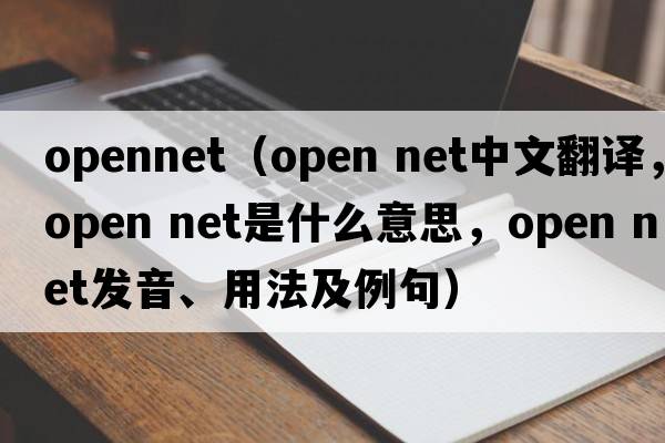 opennet（open net中文翻譯，open net是什么意思，open net發(fā)音、用法及例句）