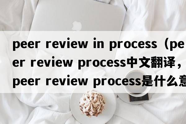 peer review in process（peer review process中文翻譯，peer review process是什么意思，peer review process發(fā)音、用法及例句）