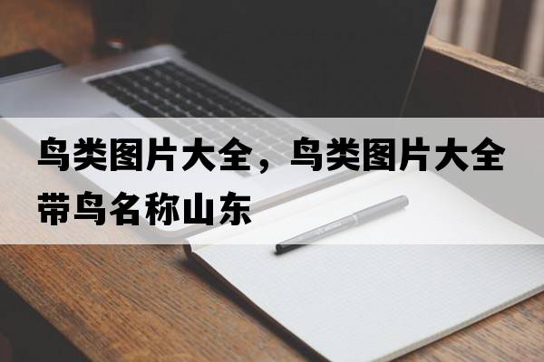 鳥(niǎo)類(lèi)圖片大全，鳥(niǎo)類(lèi)圖片大全帶鳥(niǎo)名稱(chēng)山東