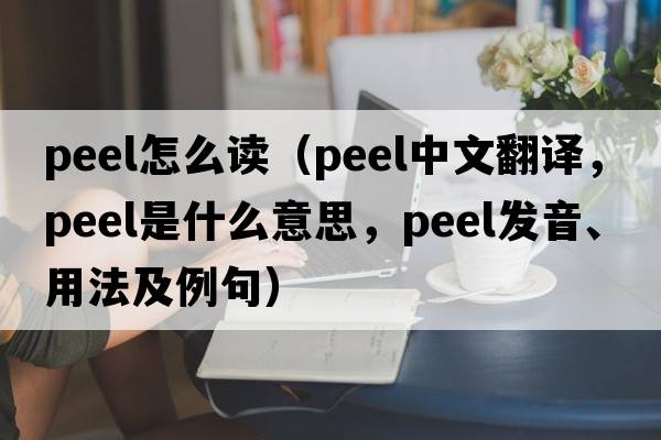 peel怎么讀（peel中文翻譯，peel是什么意思，peel發(fā)音、用法及例句）
