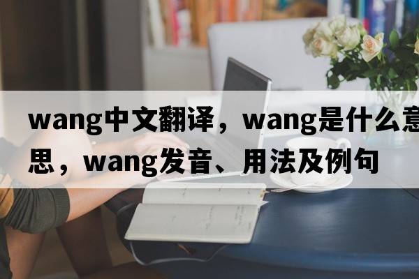 Wang中文翻譯，Wang是什么意思，Wang發(fā)音、用法及例句