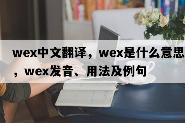 WEX中文翻譯，WEX是什么意思，WEX發(fā)音、用法及例句