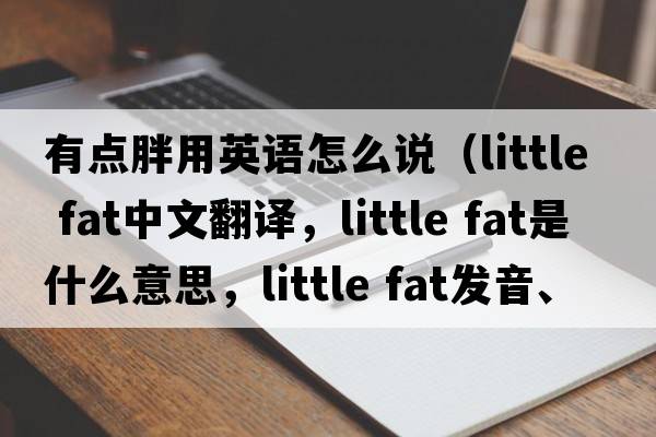 有點(diǎn)胖用英語(yǔ)怎么說(shuō)（little fat中文翻譯，little fat是什么意思，little fat發(fā)音、用法及例句）