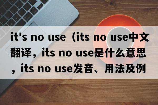 it's no use（its no use中文翻譯，its no use是什么意思，its no use發(fā)音、用法及例句）