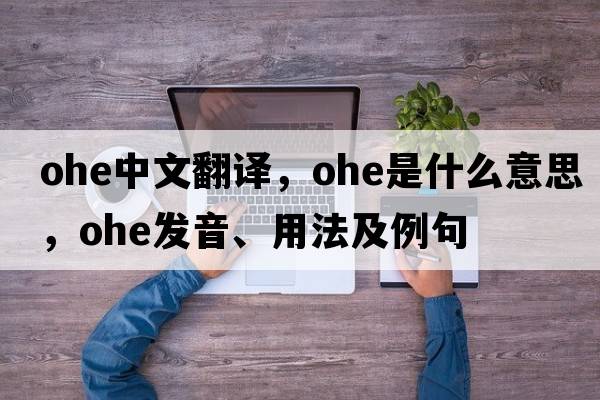 OHE中文翻譯，OHE是什么意思，OHE發(fā)音、用法及例句