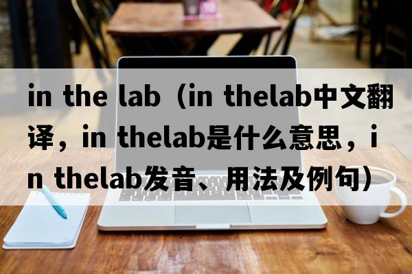 in the lab（in thelab中文翻譯，in thelab是什么意思，in thelab發(fā)音、用法及例句）