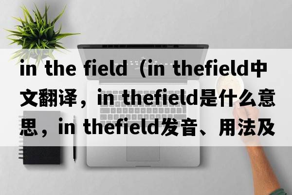 in the field（in thefield中文翻譯，in thefield是什么意思，in thefield發(fā)音、用法及例句）