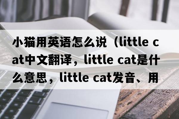 小貓用英語(yǔ)怎么說(shuō)（little cat中文翻譯，little cat是什么意思，little cat發(fā)音、用法及例句）