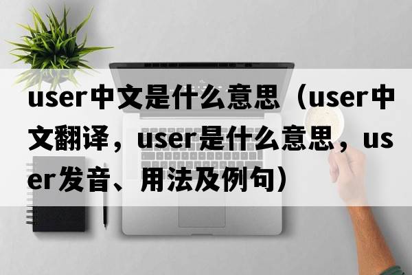 user中文是什么意思（user中文翻譯，user是什么意思，user發(fā)音、用法及例句）