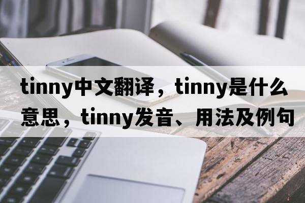 tinny中文翻譯，tinny是什么意思，tinny發(fā)音、用法及例句