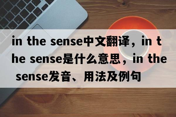 in the sense中文翻譯，in the sense是什么意思，in the sense發(fā)音、用法及例句