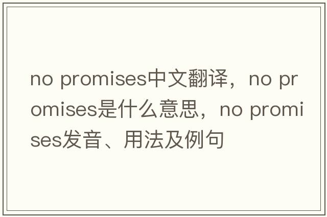 no promises中文翻譯，no promises是什么意思，no promises發(fā)音、用法及例句
