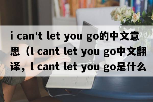 i can't let you go的中文意思（l cant let you go中文翻譯，l cant let you go是什么意思，l cant let you go發(fā)音、用法及例句）