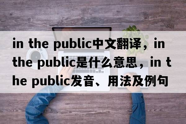 in the public中文翻譯，in the public是什么意思，in the public發(fā)音、用法及例句