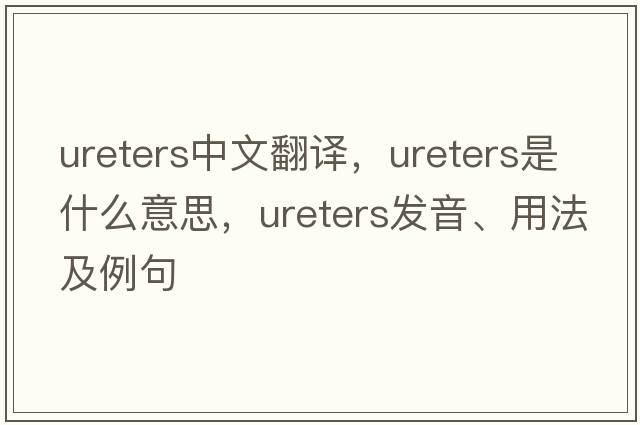 Ureters中文翻譯，Ureters是什么意思，Ureters發(fā)音、用法及例句
