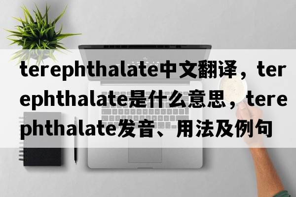 terephthalate中文翻譯，terephthalate是什么意思，terephthalate發(fā)音、用法及例句