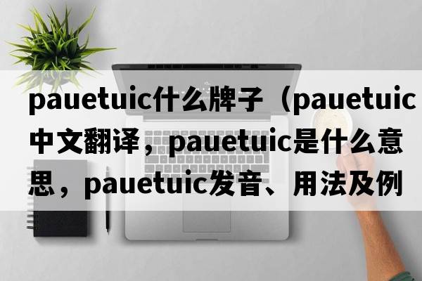 pauetuic什么牌子（pauetuic中文翻譯，pauetuic是什么意思，pauetuic發(fā)音、用法及例句）