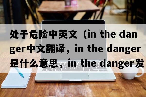 處于危險中英文（in the danger中文翻譯，in the danger是什么意思，in the danger發(fā)音、用法及例句）