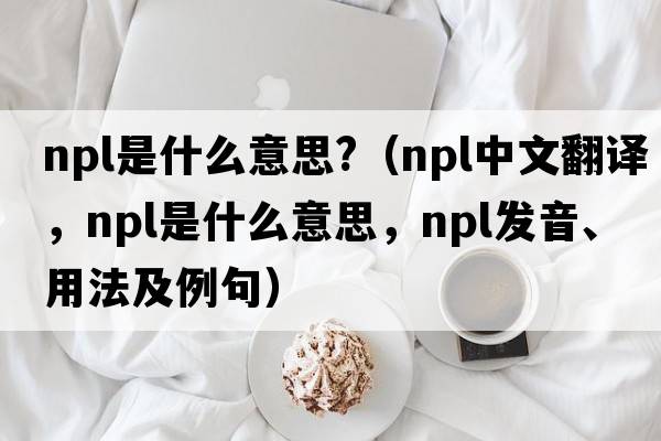 npl是什么意思?（npl中文翻譯，npl是什么意思，npl發(fā)音、用法及例句）