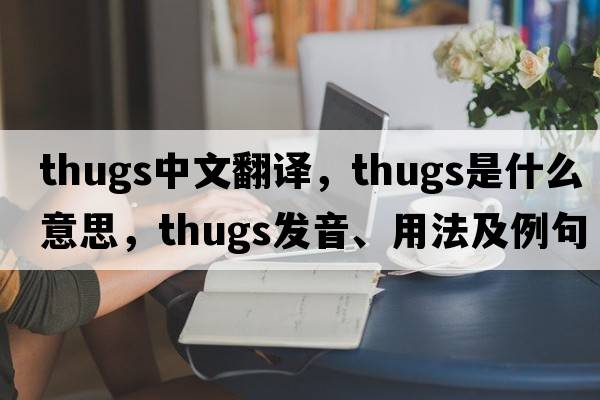 thugs中文翻譯，thugs是什么意思，thugs發(fā)音、用法及例句