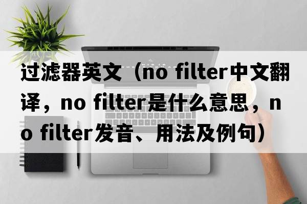 過(guò)濾器英文（no filter中文翻譯，no filter是什么意思，no filter發(fā)音、用法及例句）