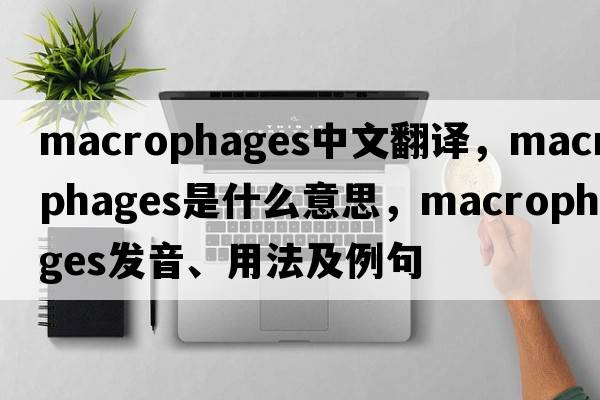 macrophages中文翻譯，macrophages是什么意思，macrophages發(fā)音、用法及例句