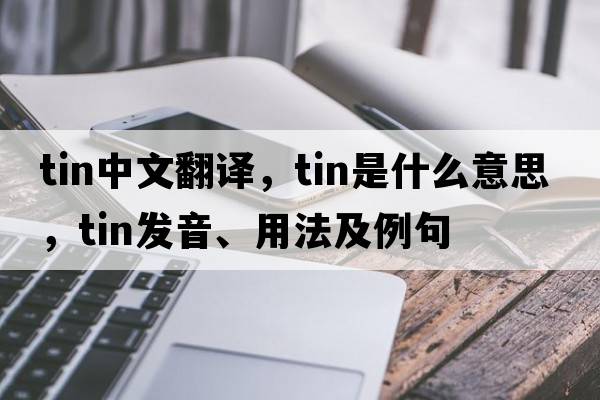 tin中文翻譯，tin是什么意思，tin發(fā)音、用法及例句