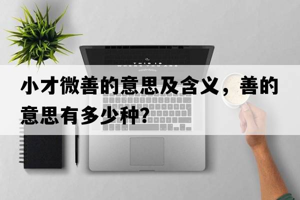 小才微善的意思及含義，善的意思有多少種？