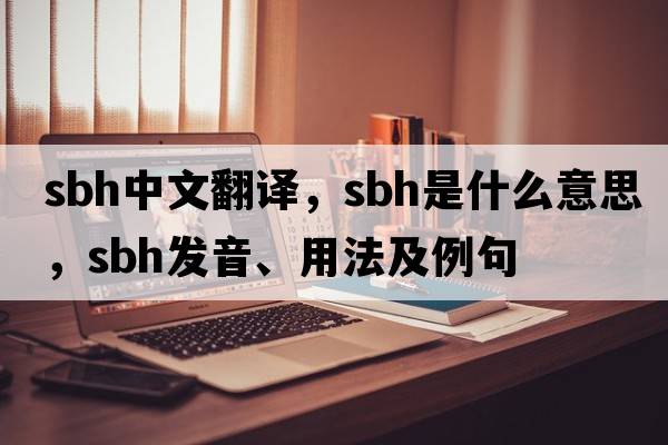 sbh中文翻譯，sbh是什么意思，sbh發(fā)音、用法及例句