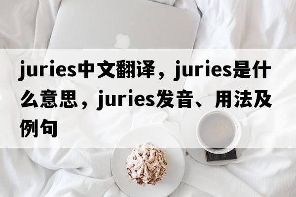 juries中文翻譯，juries是什么意思，juries發(fā)音、用法及例句