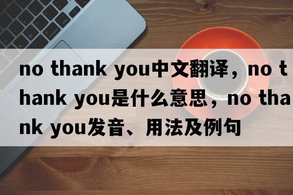 no thank you中文翻譯，no thank you是什么意思，no thank you發(fā)音、用法及例句