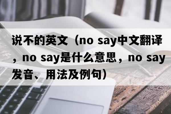 說(shuō)不的英文（no say中文翻譯，no say是什么意思，no say發(fā)音、用法及例句）