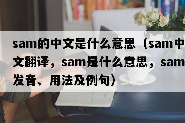 sam的中文是什么意思（sam中文翻譯，sam是什么意思，sam發(fā)音、用法及例句）