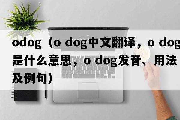 odog（o dog中文翻譯，o dog是什么意思，o dog發(fā)音、用法及例句）