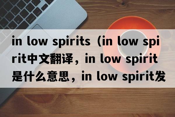 in low spirits（in low spirit中文翻譯，in low spirit是什么意思，in low spirit發(fā)音、用法及例句）