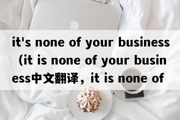 it's none of your business（it is none of your business中文翻譯，it is none of your business是什么意思，it