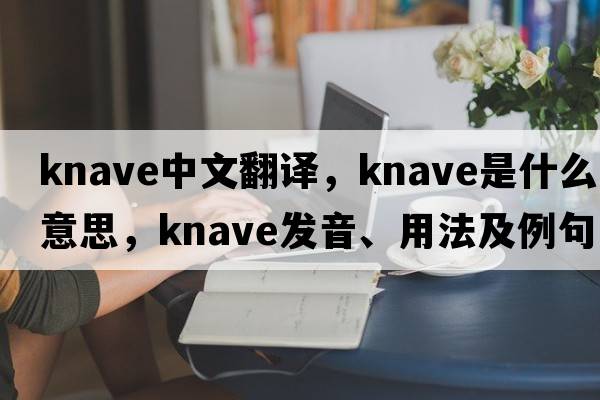 knave中文翻譯，knave是什么意思，knave發(fā)音、用法及例句