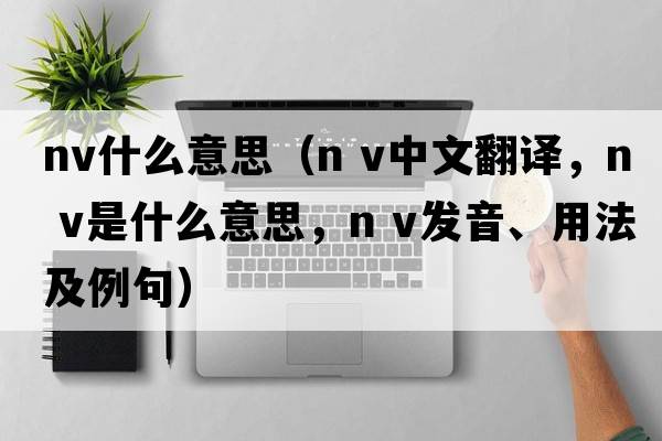 nv什么意思（n v中文翻譯，n v是什么意思，n v發(fā)音、用法及例句）