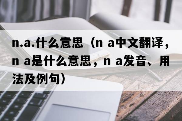 n.a.什么意思（n a中文翻譯，n a是什么意思，n a發(fā)音、用法及例句）