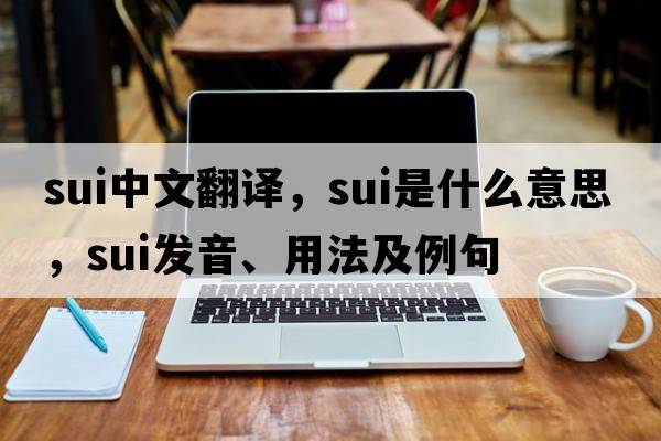 sui中文翻譯，sui是什么意思，sui發(fā)音、用法及例句