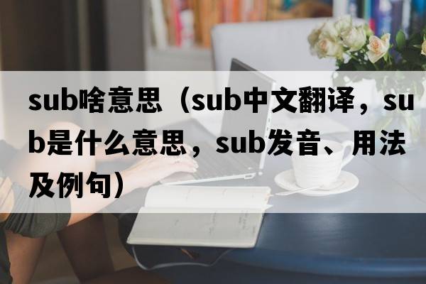 sub啥意思（sub中文翻譯，sub是什么意思，sub發(fā)音、用法及例句）