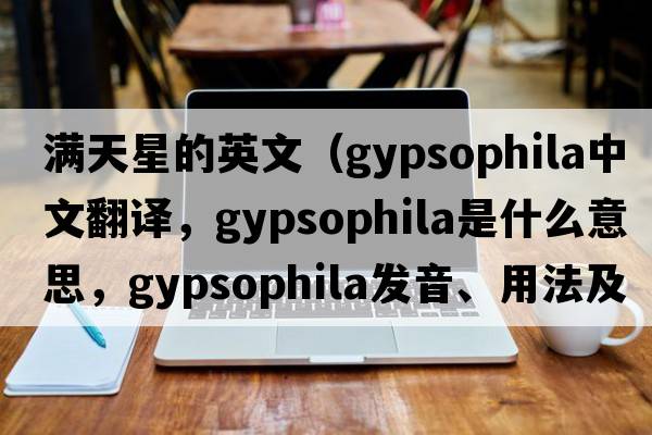 滿(mǎn)天星的英文（gypsophila中文翻譯，gypsophila是什么意思，gypsophila發(fā)音、用法及例句）