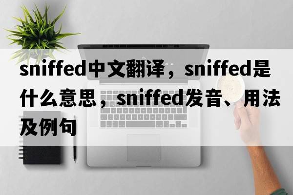 sniffed中文翻譯，sniffed是什么意思，sniffed發(fā)音、用法及例句