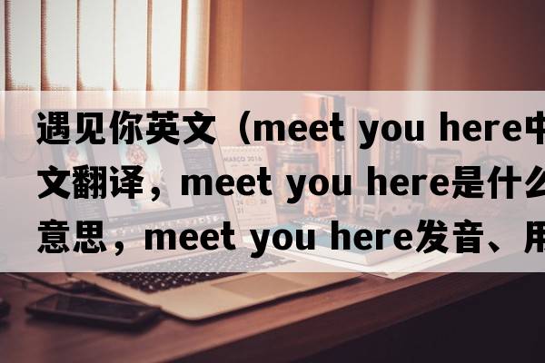 遇見(jiàn)你英文（meet you here中文翻譯，meet you here是什么意思，meet you here發(fā)音、用法及例句）