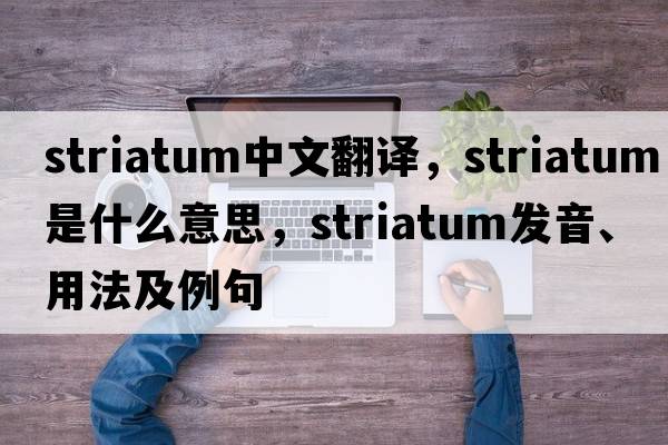 striatum中文翻譯，striatum是什么意思，striatum發(fā)音、用法及例句