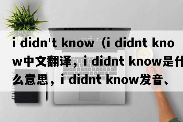 i didn't know（i didnt know中文翻譯，i didnt know是什么意思，i didnt know發(fā)音、用法及例句）
