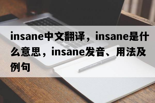 insane中文翻譯，insane是什么意思，insane發(fā)音、用法及例句