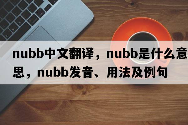 nubb中文翻譯，nubb是什么意思，nubb發(fā)音、用法及例句